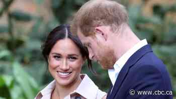 Harry and Meghan: A 'polarizing' announcement spawns endless speculation