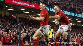 Nigel Owens tells Parliament it must protect Six Nations as potential big TV change looms