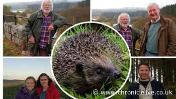 Spectacular wildlife of Kielder Forest showcased in new Channel 5 Wild Animal Rescue series