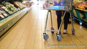 Mum's ingenious Aldi shopping hack that takes all the stress out of packing