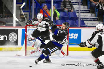 VIDEO: Newbie Vancouver Giants leads victory over Victoria 4-1 Friday