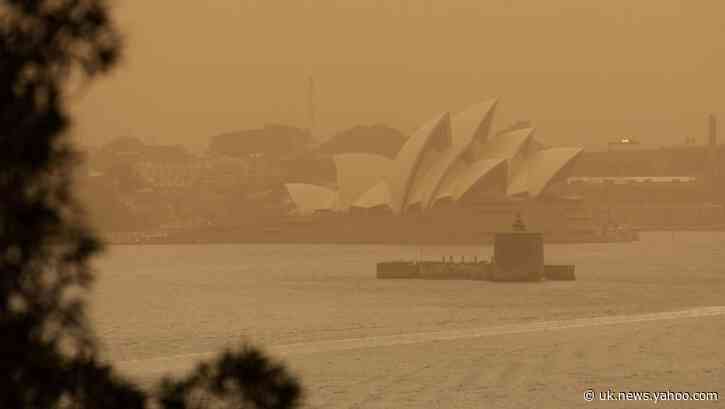 Rain brings relief to some of Australia&#39;s bushfire victims