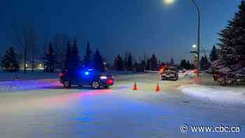 Man surrenders after standoff with police near west Edmonton school