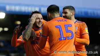 The mixed Cardiff City player ratings as one star excellent but others anonymous against Birmingham City