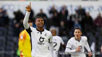 The impressive Swansea City player ratings as new signings ooze class and two regulars do the business against Wigan