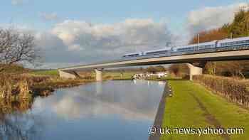 Protesters try to prevent HS2 tree felling