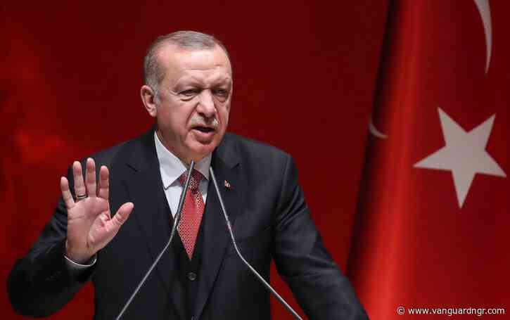 Erdogan calls on Europe to support Turkey’s moves in Libya: Politico