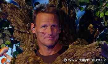 The Masked Singer: Footballer Teddy Sheringham is REVEALED to be Tree
