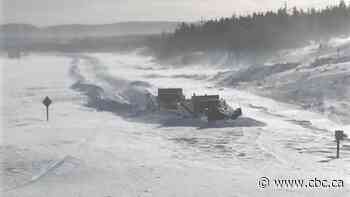Federal government approves N.L. premier's request for assistance following massive blizzard