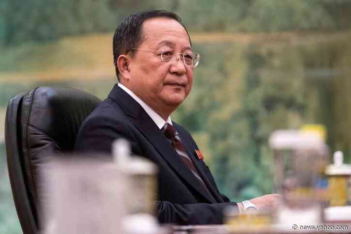 North Korean foreign minister replaced: report