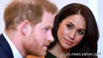 Harry and Meghan to fund their lives as ‘Mr and Mrs Ordinary’
