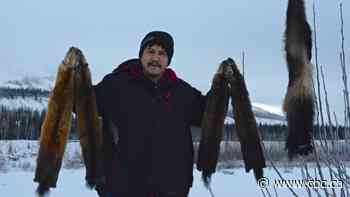 Trapper recounts 'rough experience' stranded in Yukon bush for a week at -45 C