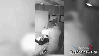 Suspects wanted for 10 break and enters in one night in rural Saskatchewan