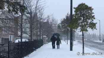 Toronto works to dig out after first major snowfall of the year
