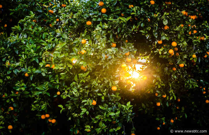 Ethereum Above This Key Level for First Time in 6 Months: Is a Surge Coming?