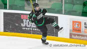 Huskies women’s hockey defeat Calgary Dinos