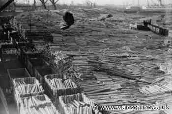 The extraordinary rarely seen images of working life in Cardiff 90 years ago