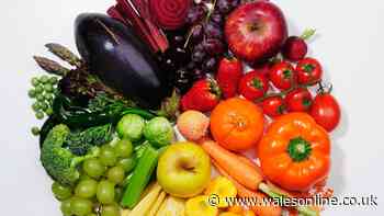 Mum reveals how she saves more than £100 a month by bulk cooking