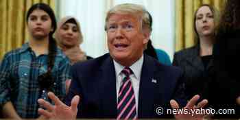 Trump reportedly picked his impeachment defense team based on how well he thinks they can perform on TV