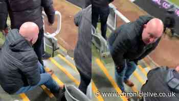 The moment a fan was hit exactly where it hurts by a corner flag as Matt Ritchie's wild celebration goes wrong