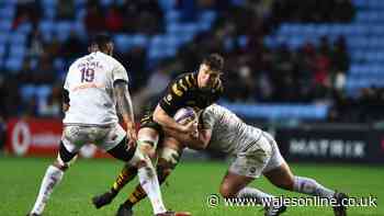 English-born shock Wales Six Nations newcomer declares: 'I have a real affinity for Welsh rugby'