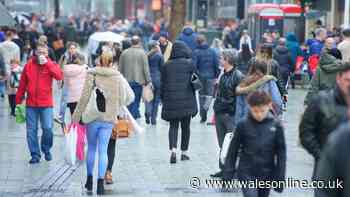 We asked weekend shoppers in Cardiff if they would have paid a £2 congestion charge to drive into the city - this is what they said