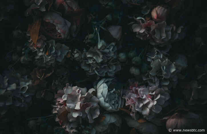 This Gold Bug Says Bitcoin is Worth $0 Because His “Wallet Forgot His Password”