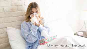 Can you call into work sick if you have a cold?