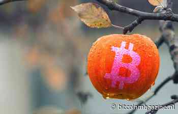 Is maandagochtend het beste moment om bitcoin (BTC) te kopen?