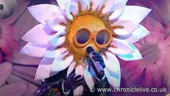 The Masked Singer's Daisy has viewers certain she is pop star Kelis