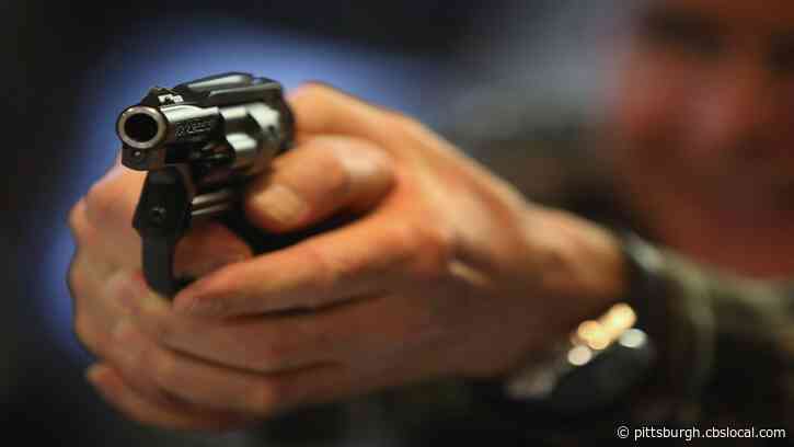 WVa Community Passes Resolution Supporting Gun Rights