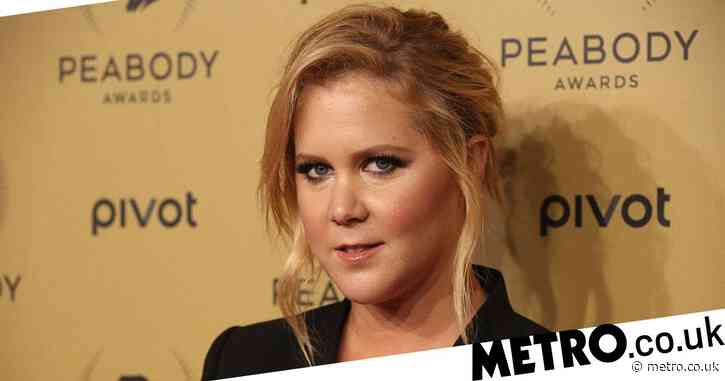Amy Schumer admits she wants a daughter next after she starts IVF treatment