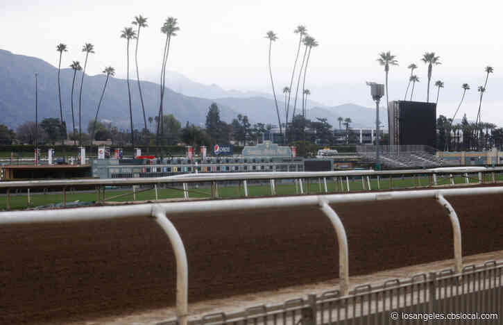 Another Horse Dies This Weekend At Santa Anita, But In Off-Track Accident, CHRB Spokesperson Says