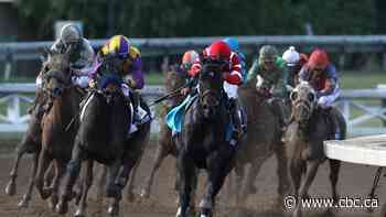 Santa Anita race track suffers 3rd horse fatality in as many days