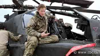 Prince Harry might be looking for a job when he comes to Canada. Here are some options