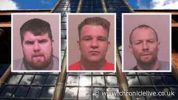 'Dangerous' raiders who wielded baseball bat at victims on New Year's Day jailed for more than 23 years