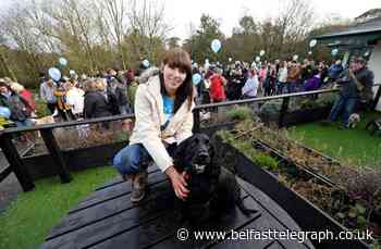 Dog and their owners walk in support of ailing Marley