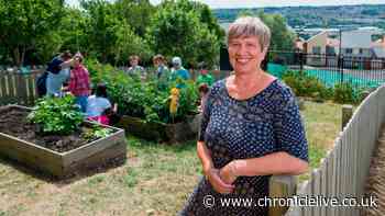 Northumbria University professor recognised for her mission to end holiday hunger
