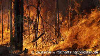 Die zehn großen Risiken für die Weltwirtschaft im Jahr 2020