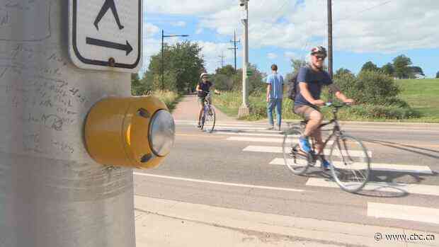 The war on pedestrians — Michael's essay