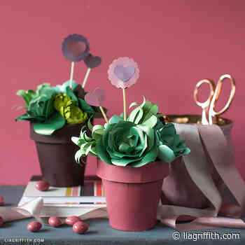 Video: Potted Paper Succulent Valentine