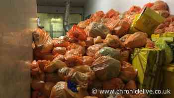 Human body parts left to rot for over a year finally removed from Benton warehouse