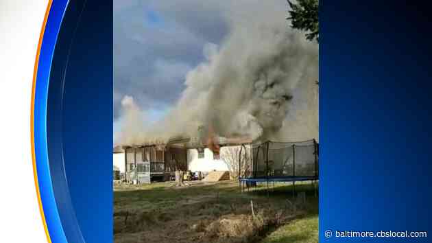 2 Dogs Killed In Elkton House Fire