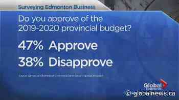 Business community weighs in on Alberta budget
