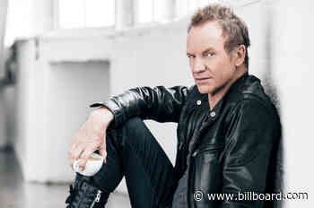 Sting Says 'Absolutely Not' to Rock Star Biopic Treatment