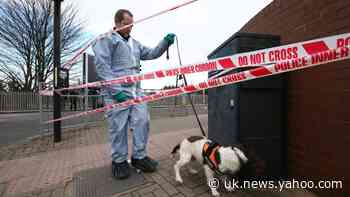 Witness describes horror of street fight that left three men dead