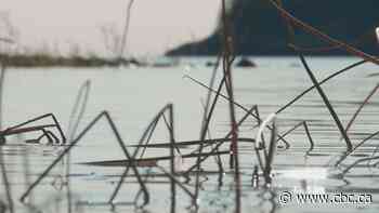 Studies question assumptions on industrial damage to Wood Buffalo park