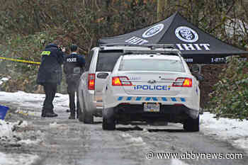 VIDEO: Car reportedly dropped off and burned in Langley residential neighbourhood