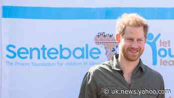 We need his passion not his title – charity chief backs Harry’s decision