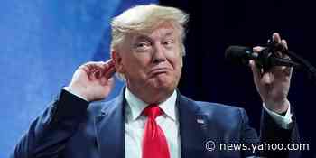 Trump's lawyers confirm their impeachment playbook is to argue the charges are 'constitutionally invalid' and should be tossed